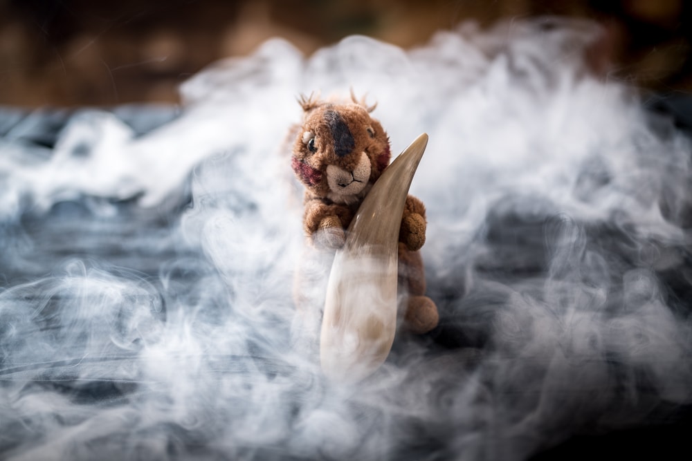 Maskottchen Larry